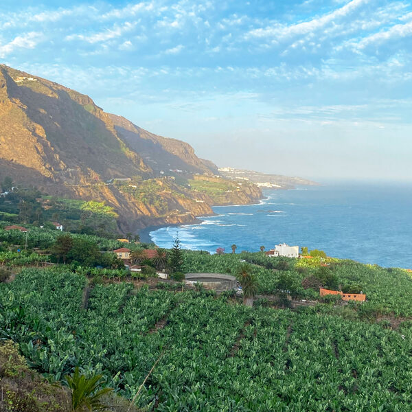 Rambla de Castro, Tenerife, Canary Islands