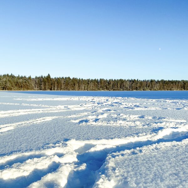 Liesjärvi National Park, Finland 