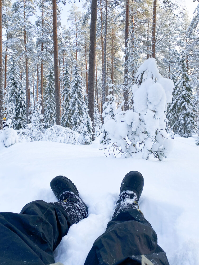 Liesjärvi, Finland